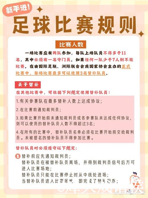 世界杯比分查询入门指南，APP入口与手机端查询说明